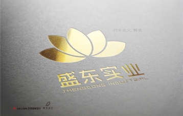 盛东实业VIS设计